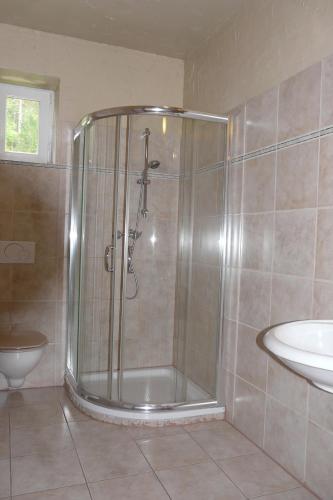 een douche in een badkamer met een toilet en een wastafel bij Waldcamp Frank in Wildalpen