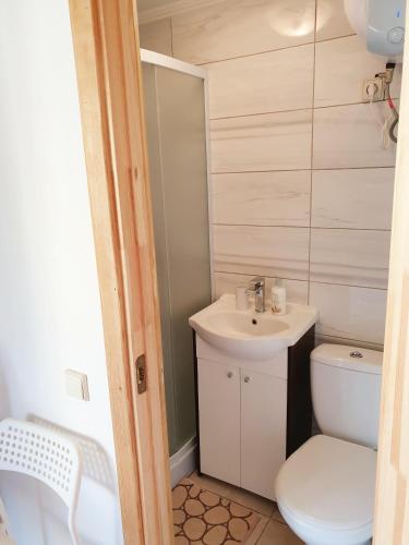 a small bathroom with a toilet and a sink at Vila G Palanga in Palanga
