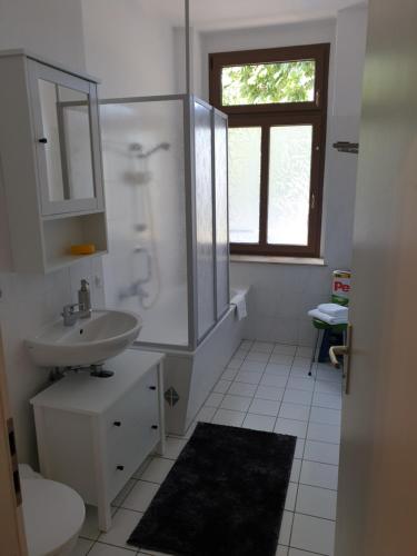 ein weißes Badezimmer mit Waschbecken und Dusche in der Unterkunft Avenue Apartment - Hilbersdorfer Straße in Chemnitz