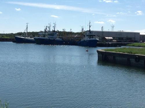 two boats are docked in a body of water at Ungru Holiday Houses in Suuresadama