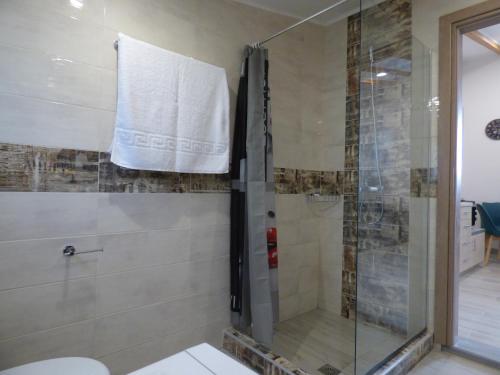 a bathroom with a glass shower with a toilet at Patsis Appartment in Ýpsos