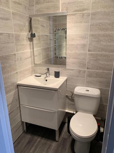 a bathroom with a toilet and a sink at Studio cabine au Grau du roi à 3min à pied de la plage in Le Grau-du-Roi