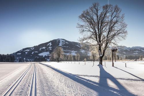 a tree in a snow covered field with a mountain at Chalet Tirol in Westendorf