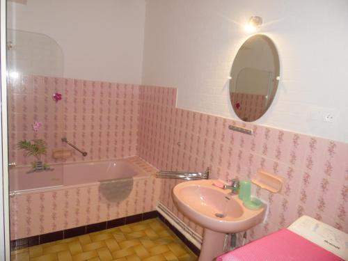 a pink bathroom with a sink and a bath tub at Les Marguerites Aux Lotz in Thiers