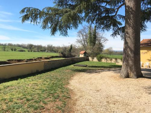 a tree sitting next to a wall next to a field at Domaine BORCHAMPS. in Saint-Nizier-sous-Charlieu