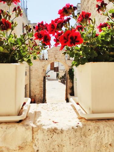 two white pots with red flowers on a street at GH Dimora Sant'Anna in Carovigno