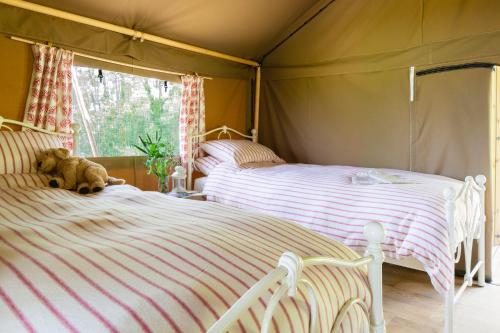 2 lits dans une tente avec un ours en peluche assis sur elle dans l'établissement Brocklands Farm Glamping, à Petersfield