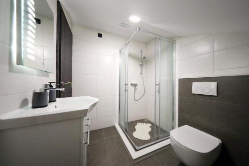 La salle de bains est pourvue d'une douche, de toilettes et d'un lavabo. dans l'établissement Apartman Sofia, à Zadar