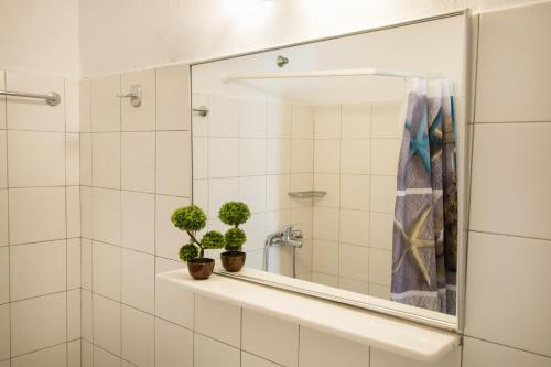 a bathroom with a mirror and two plants on a shelf at Kimata Apartments in Arkasa