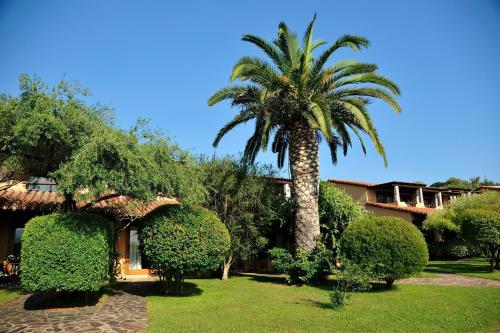 a palm tree in front of a house at Hotel Club Saraceno - Bovis Hotels in Àrbatax