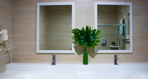 un baño con lavabo con una planta en un jarrón en TROPICAL LIVINGS MERU IPOH HOMESTAY by Grab A Stay en Ipoh
