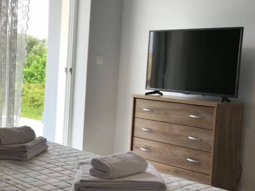 TV a/nebo společenská místnost v ubytování Elsa home