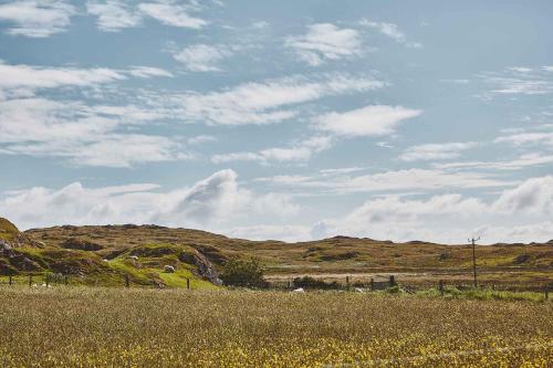 a field with yellow flowers and a cloudy sky at Iona Pods in Iona