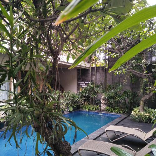 a swimming pool in a garden with chairs and trees at Jukung Guest House in Sanur