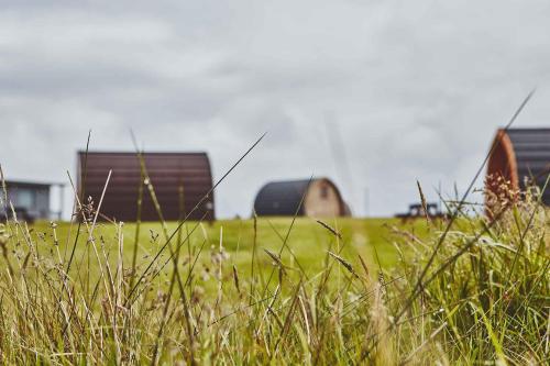
a field full of grass with a barn at Iona Pods in Iona
