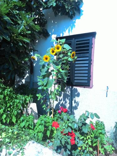 Gallery image of Apartments Prisnac in Pakoštane