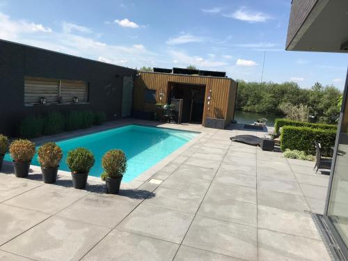 a swimming pool with potted plants on a patio at WK12 STUDIO in Cuijk