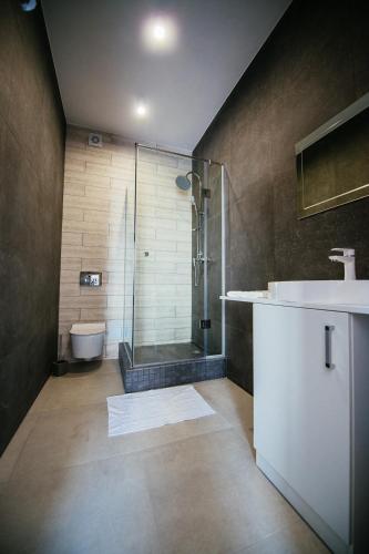 a bathroom with a shower and a toilet and a sink at Zigzag in Zatoka
