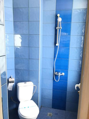 ein blau gefliestes Bad mit einem WC und einer Dusche in der Unterkunft МОТЕЛ СИТИ in Plowdiw