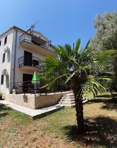 a building with a palm tree in front of it at Apartments Juretic in Drenje