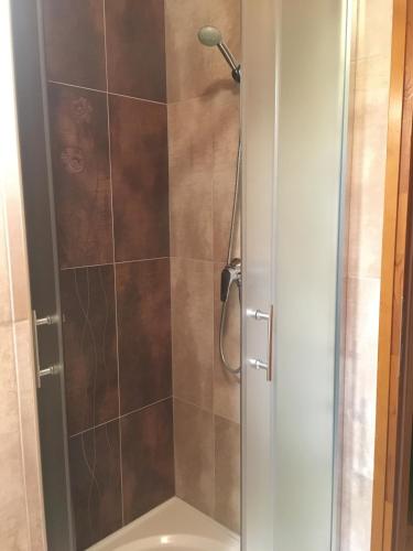 a shower with a glass door in a bathroom at Termálvölgye Vendégház in Demjén