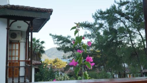 a plant with pink flowers in front of a building at Totelya Hotel in Akyaka