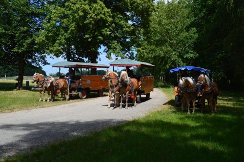 a group of horses pulling a horse drawn carriage down a road at Ferienhaus Am Park in Löbnitz