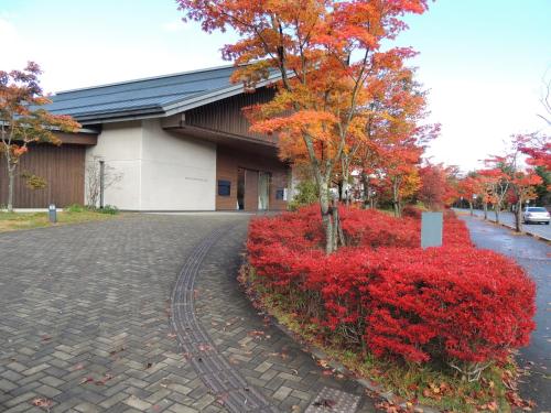 a tree with red flowers in front of a building at B&B Hotel Hyochoan in Karuizawa