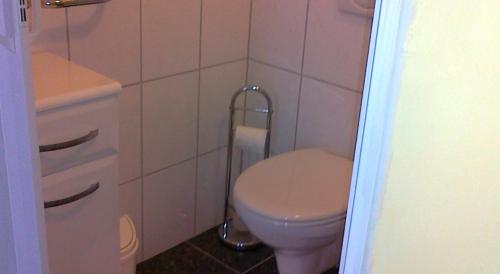 een kleine badkamer met een toilet en een wastafel bij Gästehaus zum Moseltal in Ellenz-Poltersdorf