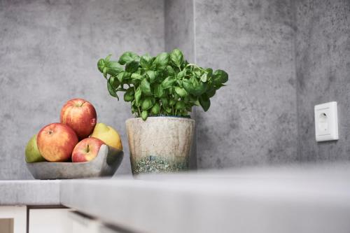a vase with a plant and apples on a counter at Boardinghome Oldenburg in Oldenburg