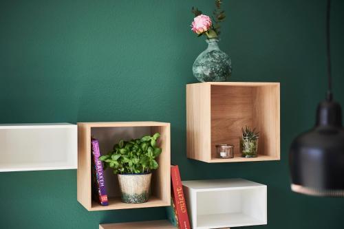 a green wall with two shelves with plants and a vase at Boardinghome Oldenburg in Oldenburg