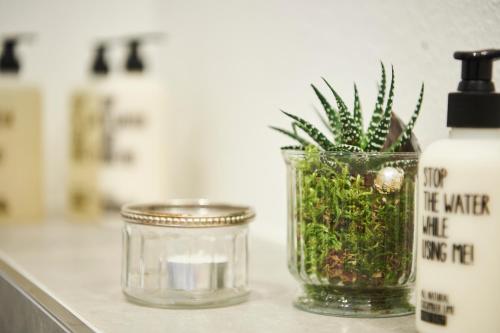 two glass jars with plants in them on a counter at Boardinghome Oldenburg in Oldenburg