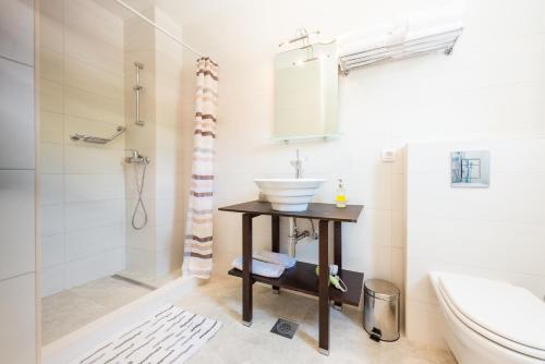 a bathroom with a sink and a toilet and a shower at Sea Sky Apartment in Cavtat