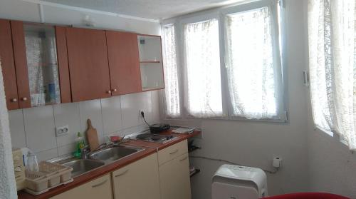 una pequeña cocina con lavabo y aseo en Apartments Lončarević, en Slano