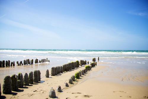 a beach with a row of trees in the sand at Jugendherberge Westerland in Westerland (Sylt)
