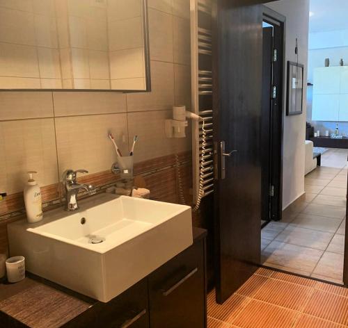 a bathroom with a white sink and a mirror at Apartament Vila Maria in Mamaia