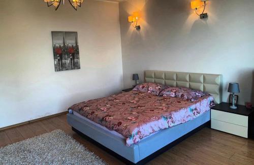 a bedroom with a bed and a picture on the wall at Apartament Vila Maria in Mamaia