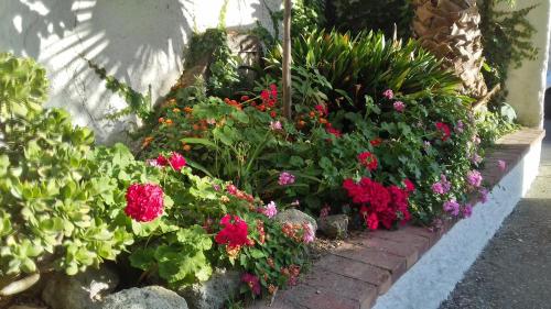 Un jardín fuera de Villa Thomas BB conduzione familiare