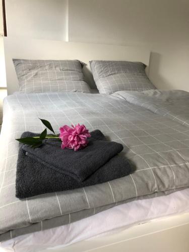 Postel nebo postele na pokoji v ubytování Apartmán Sisi