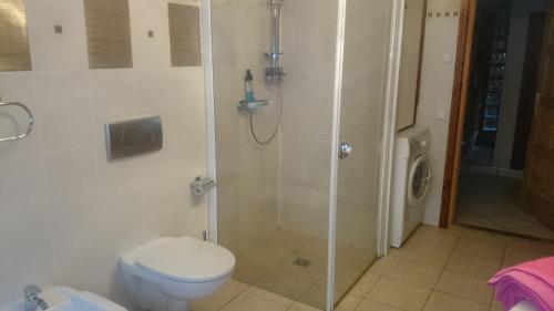 a bathroom with a toilet and a glass shower at Apartamenty i pokoje u Staszelów in Poronin