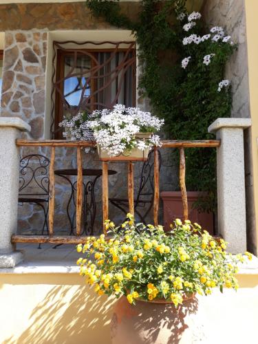 a window with a bunch of flowers on a balcony at AL PEZ exclusive rooms in Olbia