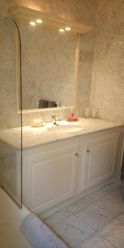 une salle de bain avec un lavabo et un miroir dans l'établissement Le Mas de FRAYERE, à Le Rouret