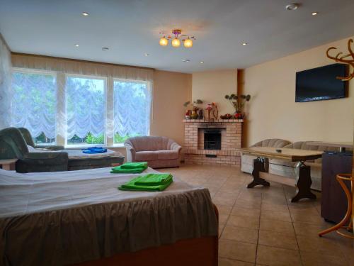 a living room with a couch and a fireplace at Apartments Elina Viktorijas Street in Jūrmala