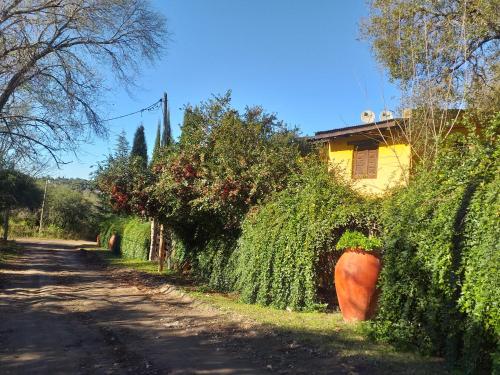Complejo De Cabanas Von Liss – Photos 4