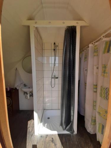 a bathroom with a shower with a shower curtain at Kardoni Puhkelaager in Tornimäe