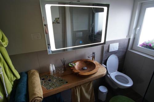 Un baño con lavabo, inodoro y espejo. en Mary's Garden, en Tuliševica