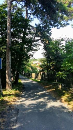 a tree lined road with a fence and trees at Ezüsthíd Apartman in Balatongyörök
