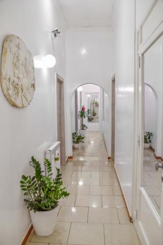 a hallway with white walls and a tile floor with plants at Hotel Sol Levante in Rome