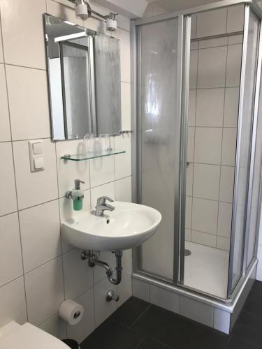 La salle de bains est pourvue d'un lavabo et d'une douche. dans l'établissement Zur Sonne, à Alsbach-Hähnlein