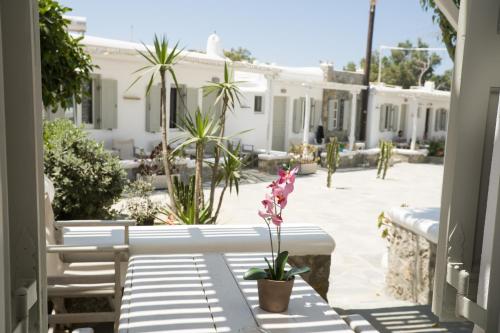 Gallery image of Agia Anna Beachfront Boutique in Paraga